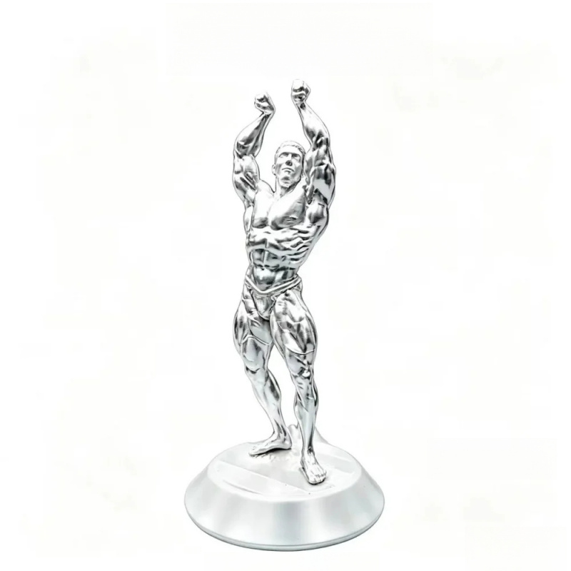 Hardcore Muscular Male Competi - огляд і ціна 3D Printing Gold