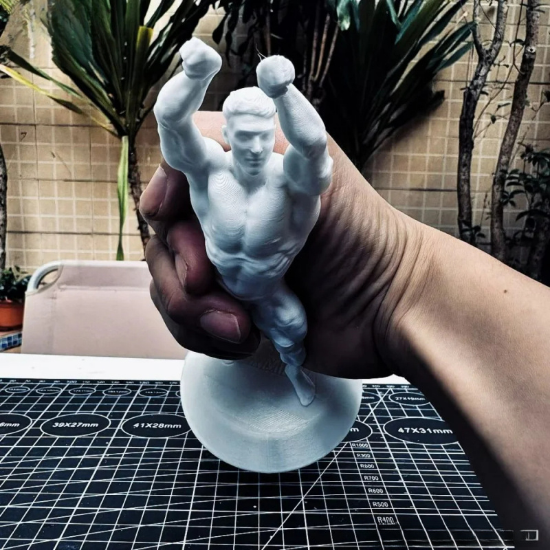 Hardcore Muscular Male Competi - огляд і ціна 3D Printing Gold