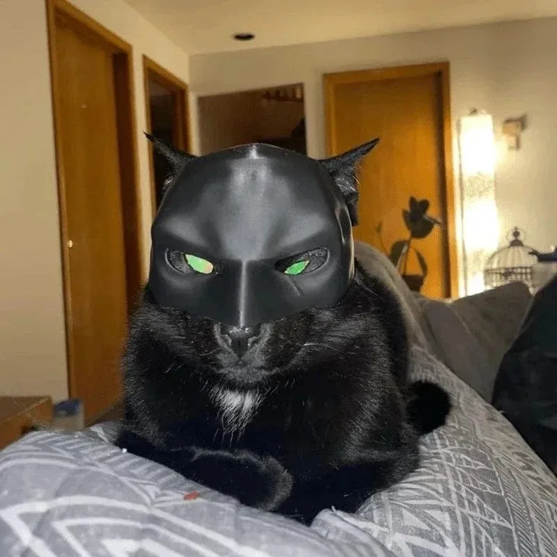 3D Printed Cat Avenger Mask Ba - огляд і ціна 3D Printing Foto
